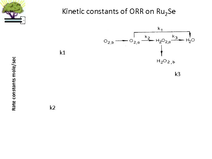 Kinetic constants of ORR on Ru 2 Se Rate constants mole/sec k 1 k