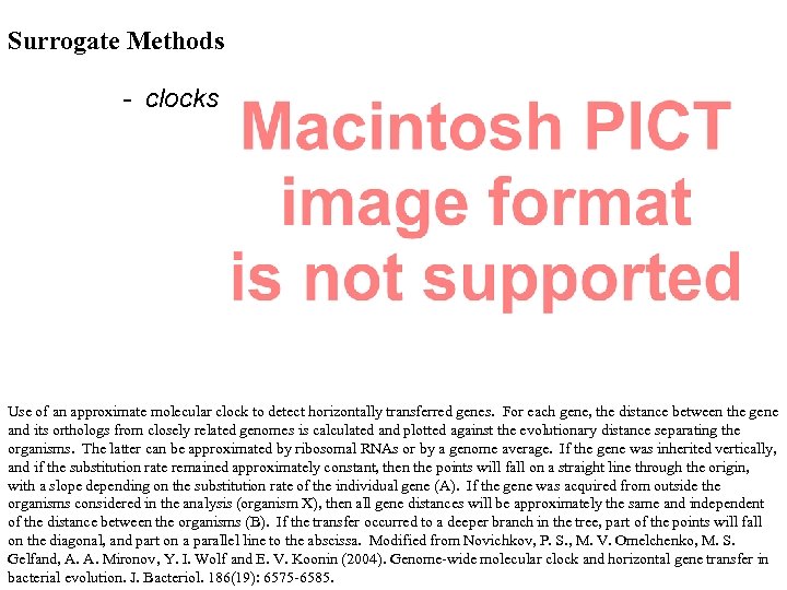 Surrogate Methods - clocks Use of an approximate molecular clock to detect horizontally transferred