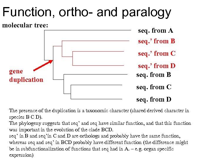 Function, ortho- and paralogy molecular tree: seq. from A seq. ’ from B seq.