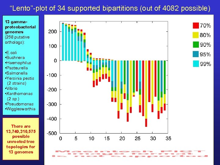 “Lento”-plot of 34 supported bipartitions (out of 4082 possible) 13 gammaproteobacterial genomes (258 putative