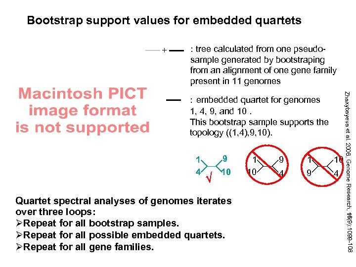 Bootstrap support values for embedded quartets + : tree calculated from one pseudosample generated