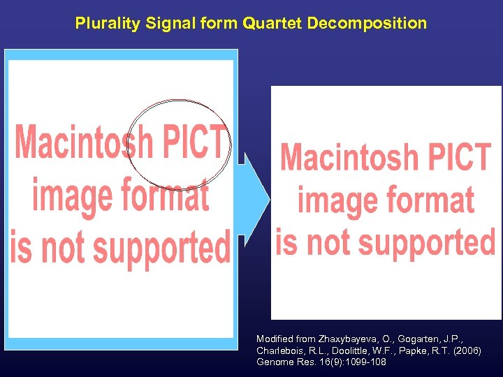 Plurality Signal form Quartet Decomposition Modified from Zhaxybayeva, O. , Gogarten, J. P. ,