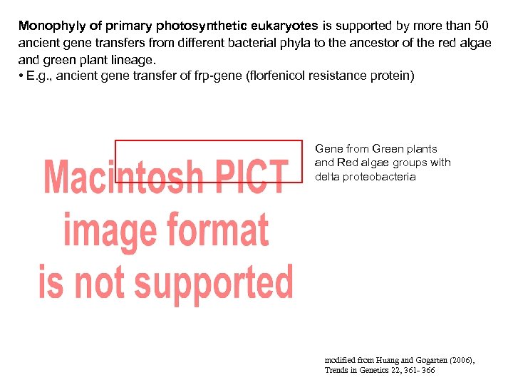 Monophyly of primary photosynthetic eukaryotes is supported by more than 50 ancient gene transfers