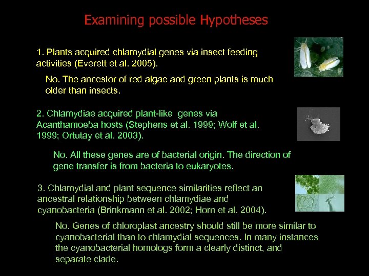 Examining possible Hypotheses 1. Plants acquired chlamydial genes via insect feeding activities (Everett et