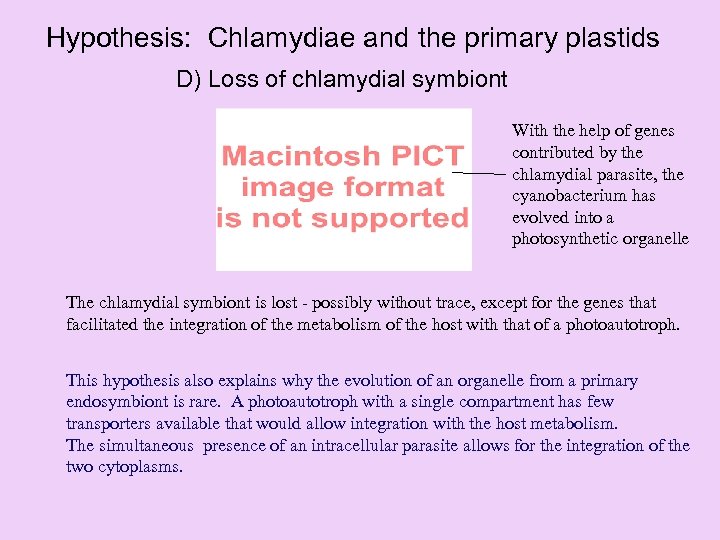 Hypothesis: Chlamydiae and the primary plastids D) Loss of chlamydial symbiont With the help