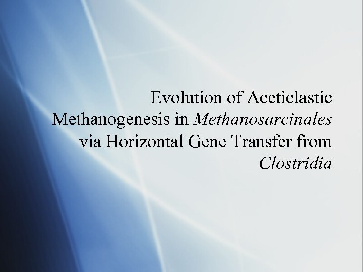 Evolution of Aceticlastic Methanogenesis in Methanosarcinales via Horizontal Gene Transfer from Clostridia 
