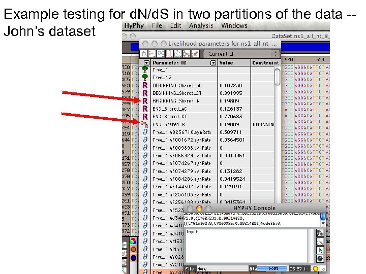 Example testing for d. N/d. S in two partitions of the data -John’s dataset