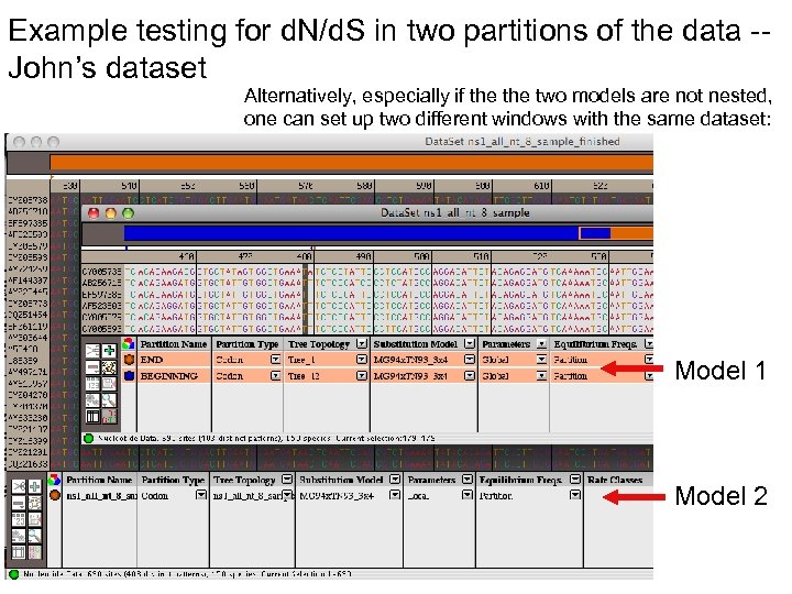 Example testing for d. N/d. S in two partitions of the data -John’s dataset