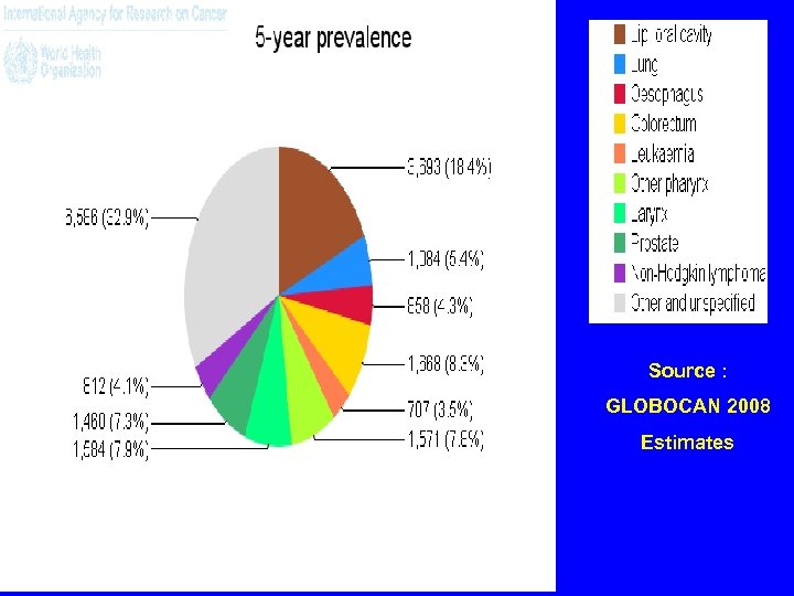 Source : GLOBOCAN 2008 Estimates 