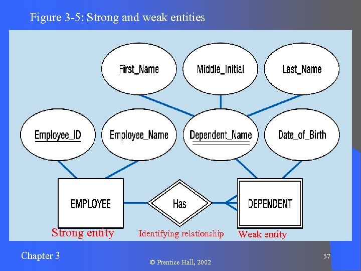 Figure 3 -5: Strong and weak entities Strong entity Chapter 3 Identifying relationship ©