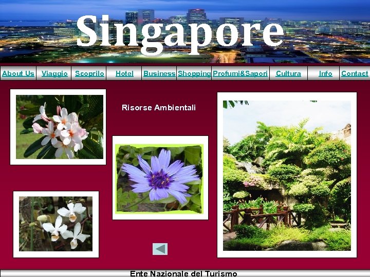 Singapore About Us Viaggio Scoprilo Hotel Business Shopping Profumi&Sapori Risorse Ambientali Ente Nazionale del