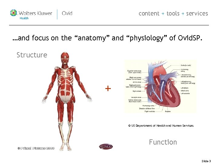content + tools + services …and focus on the “anatomy” and “physiology” of Ovid.