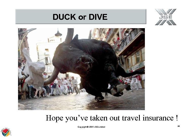 DUCK or DIVE Hope you’ve taken out travel insurance ! Copyright © 2005 JSE