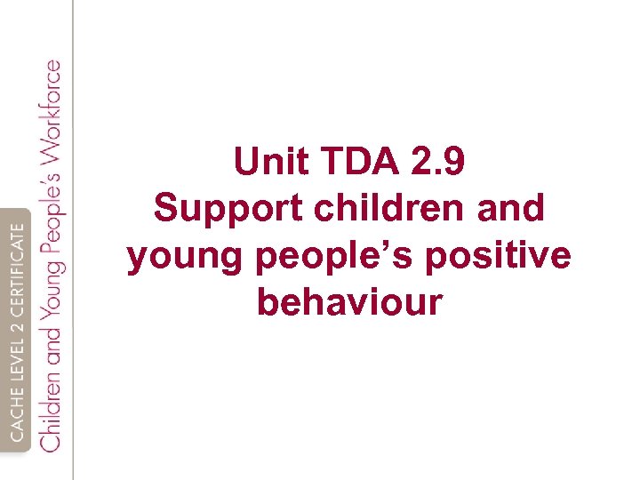 Unit TDA 2. 9 Support children and young people’s positive behaviour 