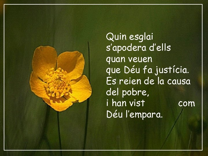 Quin esglai s’apodera d’ells quan veuen que Déu fa justícia. Es reien de la