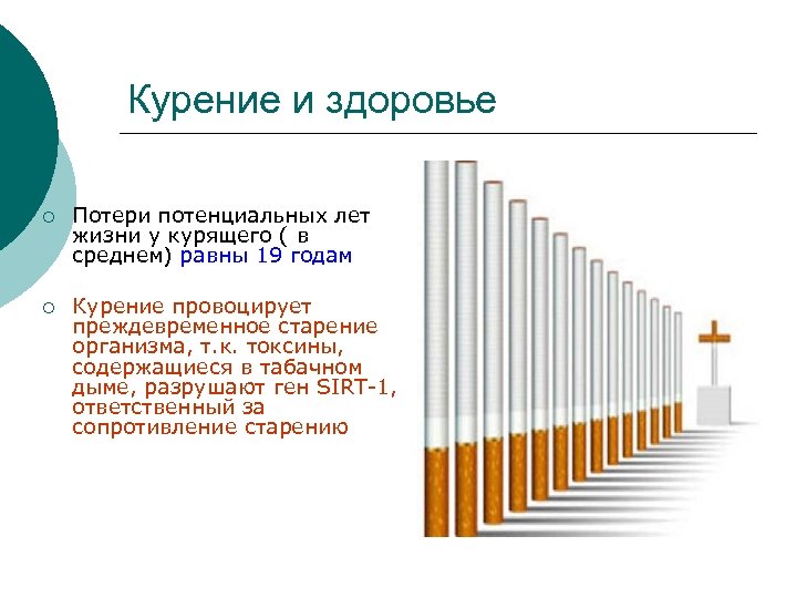 Курение и здоровье ¡ Потери потенциальных лет жизни у курящего ( в среднем) равны