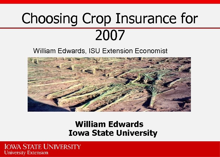 Choosing Crop Insurance for 2007 William Edwards, ISU Extension Economist William Edwards Iowa State