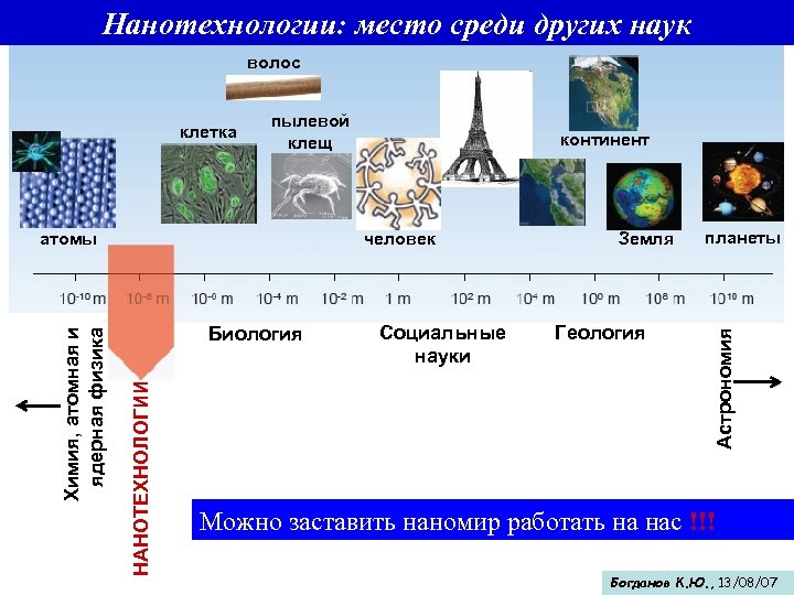 Нанотехнологии: место среди других наук волос пылевой клещ человек Биология НАНОТЕХНОЛОГИИ Химия, атомная и