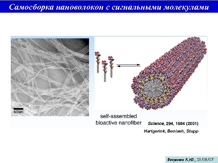 Самосборка нановолокон с сигнальными молекулами Hartgerink, Beniash, Stupp Богданов К. Ю. , 13/08/07 