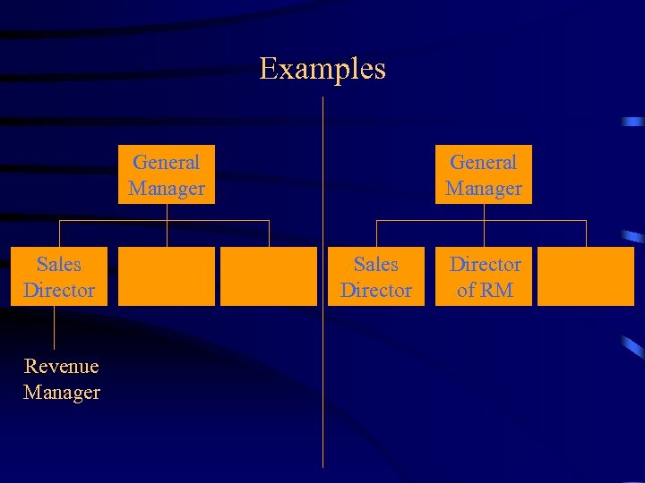 Examples General Manager Sales Director Revenue Manager General Manager Sales Director of RM 
