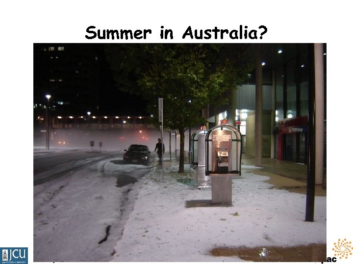 Summer in Australia? 