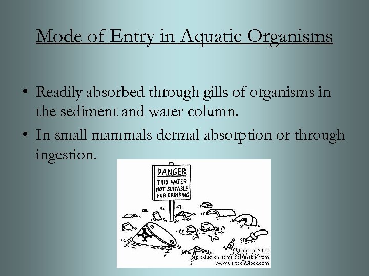 Mode of Entry in Aquatic Organisms • Readily absorbed through gills of organisms in