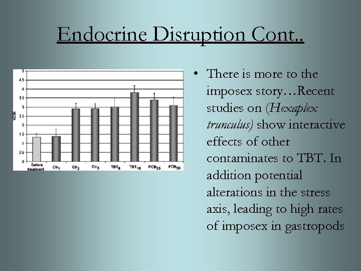 Endocrine Disruption Cont. . • There is more to the imposex story…Recent studies on
