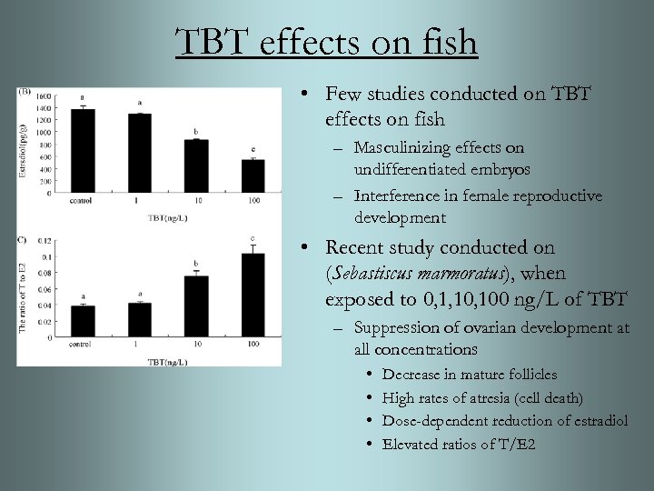 TBT effects on fish • Few studies conducted on TBT effects on fish –