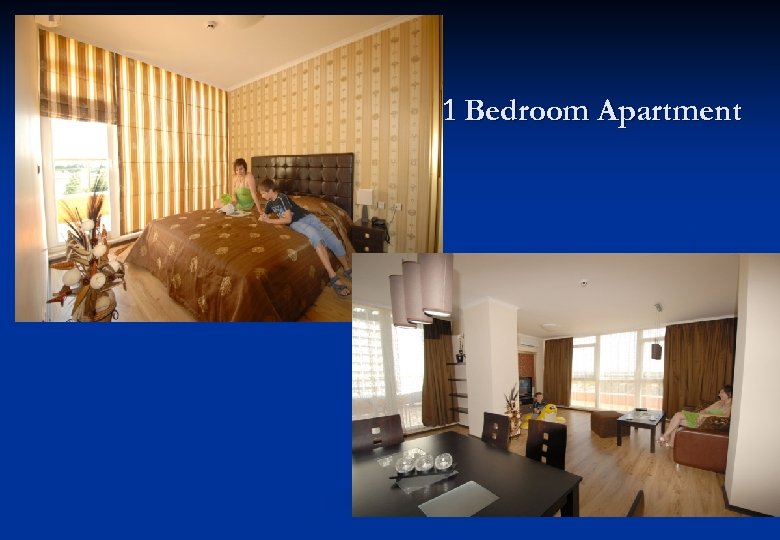 1 Bedroom Apartment 