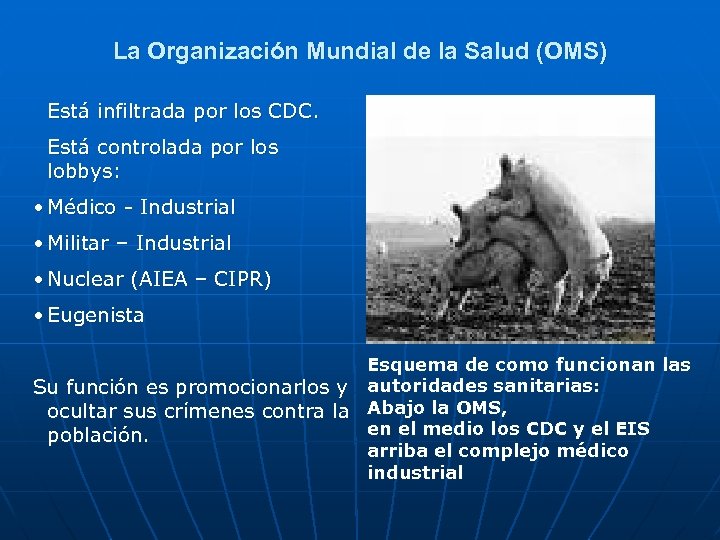 La Organización Mundial de la Salud (OMS) Está infiltrada por los CDC. Está controlada