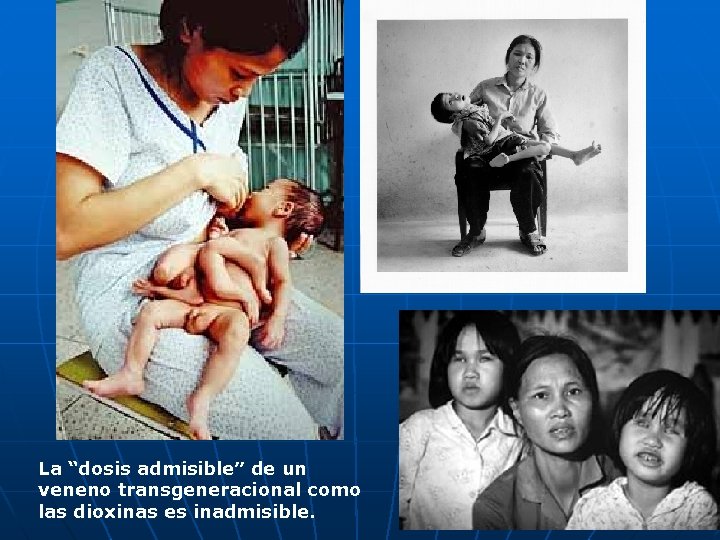 La “dosis admisible” de un veneno transgeneracional como las dioxinas es inadmisible. 