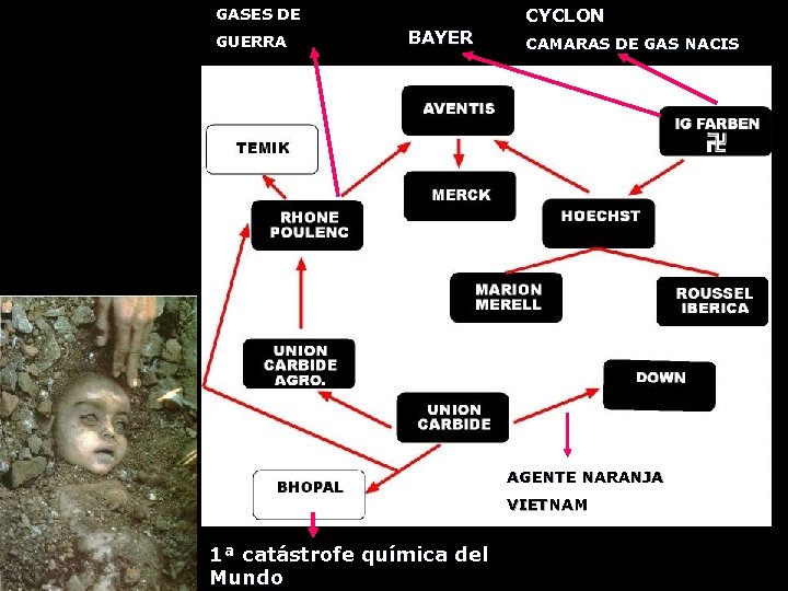 CYCLON GASES DE GUERRA BAYER CAMARAS DE GAS NACIS AGENTE NARANJA VIETNAM 1ª catástrofe