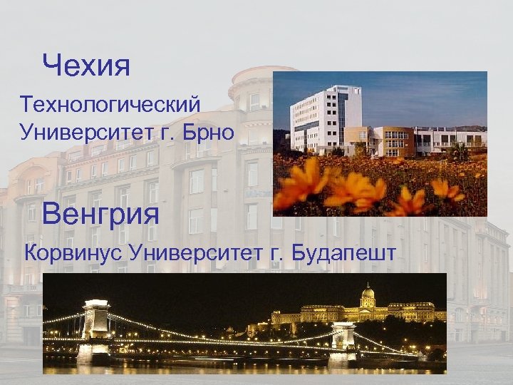 Чехия Технологический Университет г. Брно Венгрия Корвинус Университет г. Будапешт 