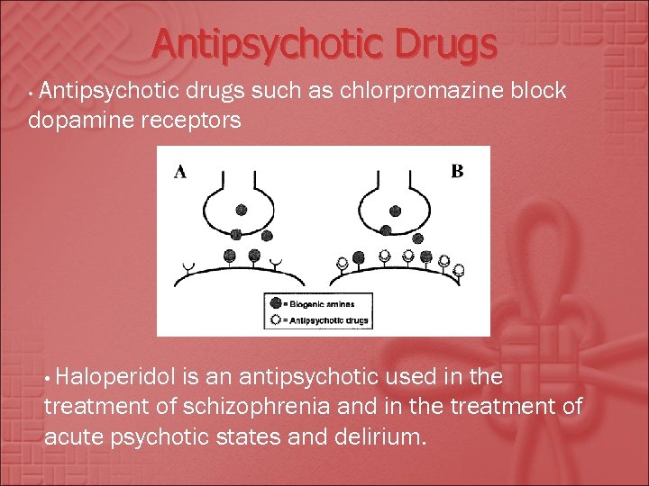 Antipsychotic Drugs Antipsychotic drugs such as chlorpromazine block dopamine receptors • • Haloperidol is