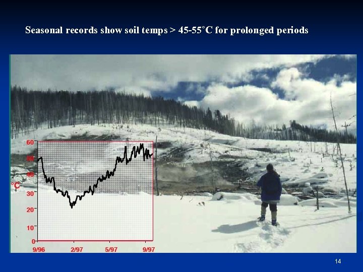 Seasonal records show soil temps > 45 -55˚C for prolonged periods 14 