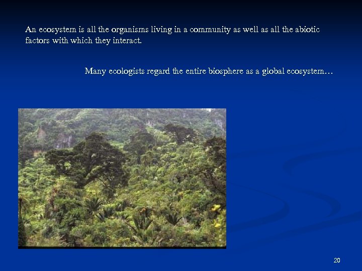 An ecosystem is all the organisms living in a community as well as all