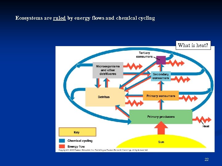 Ecosystems are ruled by energy flows and chemical cycling What is heat? 22 