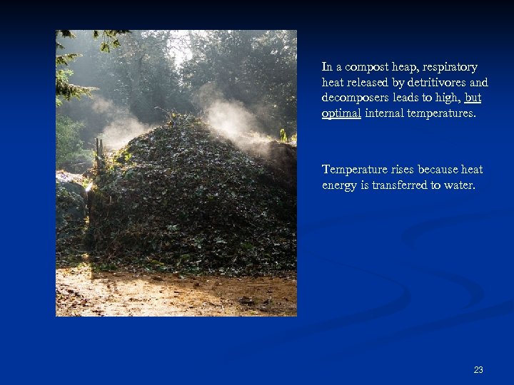 In a compost heap, respiratory heat released by detritivores and decomposers leads to high,