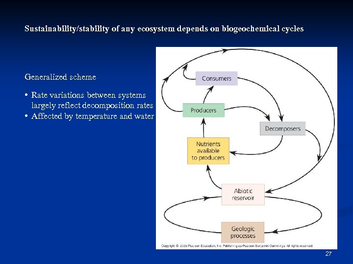 Sustainability/stability of any ecosystem depends on biogeochemical cycles Generalized scheme • Rate variations between