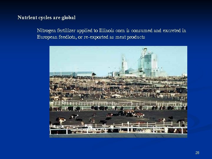 Nutrient cycles are global Nitrogen fertilizer applied to Illinois corn is consumed and excreted