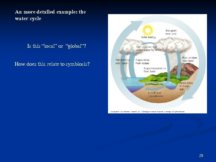 An more detailed example: the water cycle Is this “local” or “global”? How does