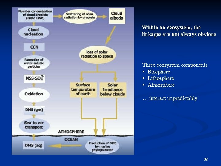 Within an ecosystem, the linkages are not always obvious Three ecosystem components • Biosphere
