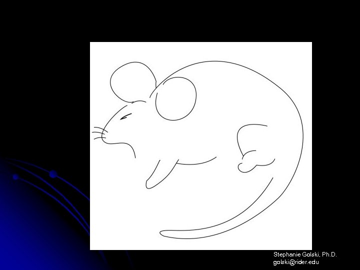 Stephanie Golski, Ph. D. golski@rider. edu 