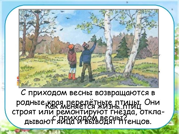 Работа в парах. С приходом весны возвращаются в родные края перелётные птицы. Они Как