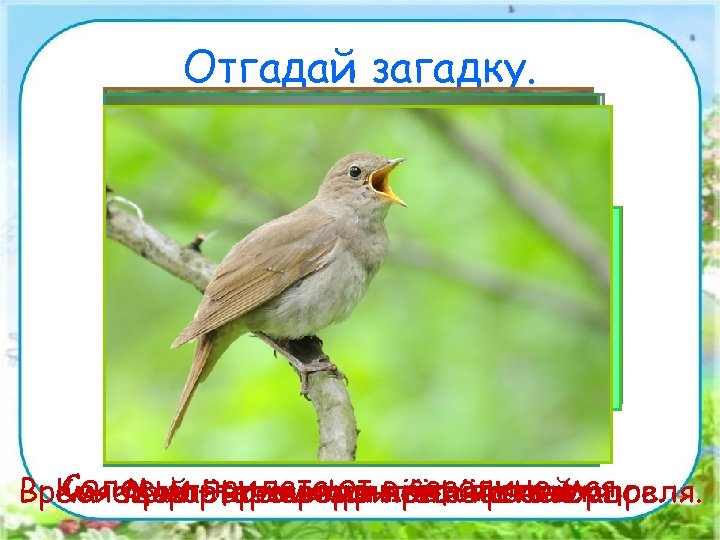 Отгадай загадку. Прилетает он в поле Всех построили нам, теплом, Мы перелетных птиц черней,