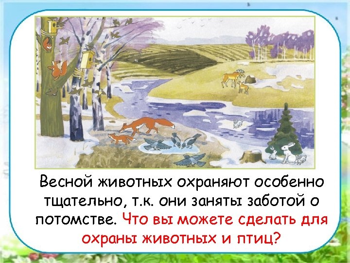 Весной животных охраняют особенно тщательно, т. к. они заняты заботой о потомстве. Что вы