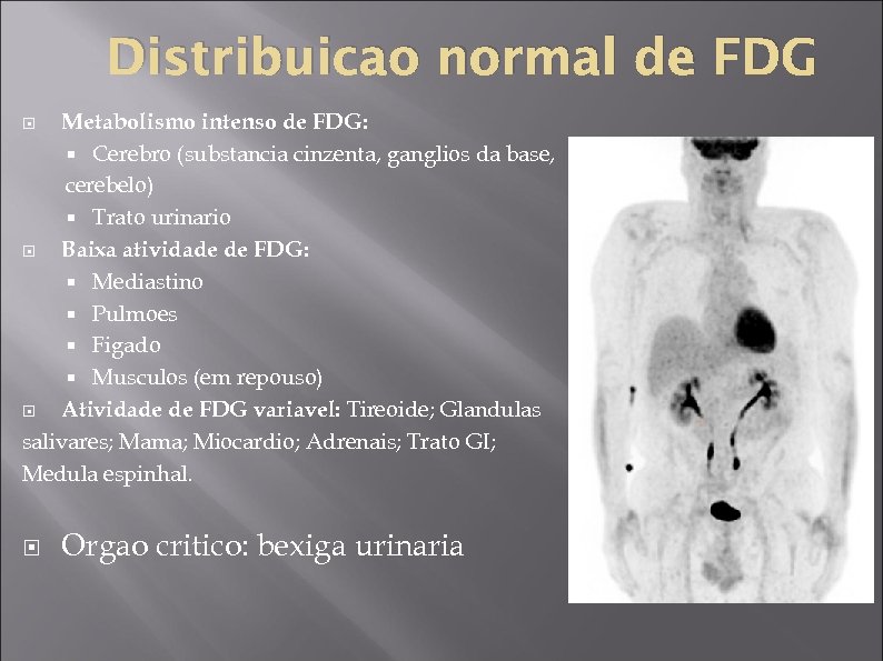 Distribuicao normal de FDG Metabolismo intenso de FDG: Cerebro (substancia cinzenta, ganglios da base,