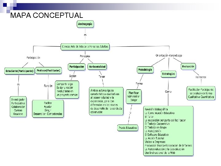 MAPA CONCEPTUAL 