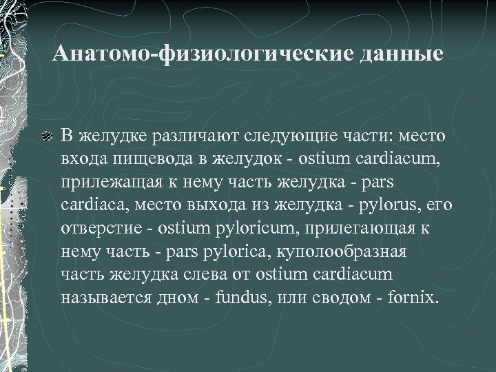 Анатомо-физиологические данные В желудке различают следующие части: место входа пищевода в желудок - ostium