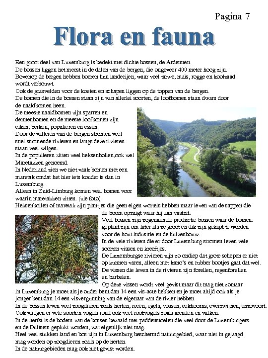 Pagina 7 Een groot deel van Luxemburg is bedekt met dichte bossen, de Ardennen.